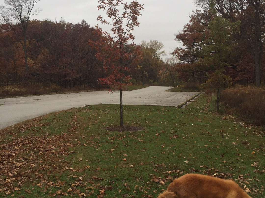 Hickory Creek Preserve-Mokena必去景点