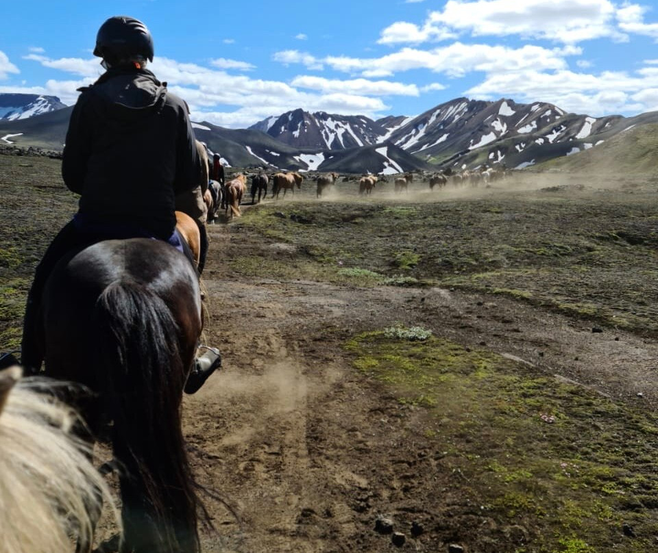 Nupshestar-塞尔福斯必去景点