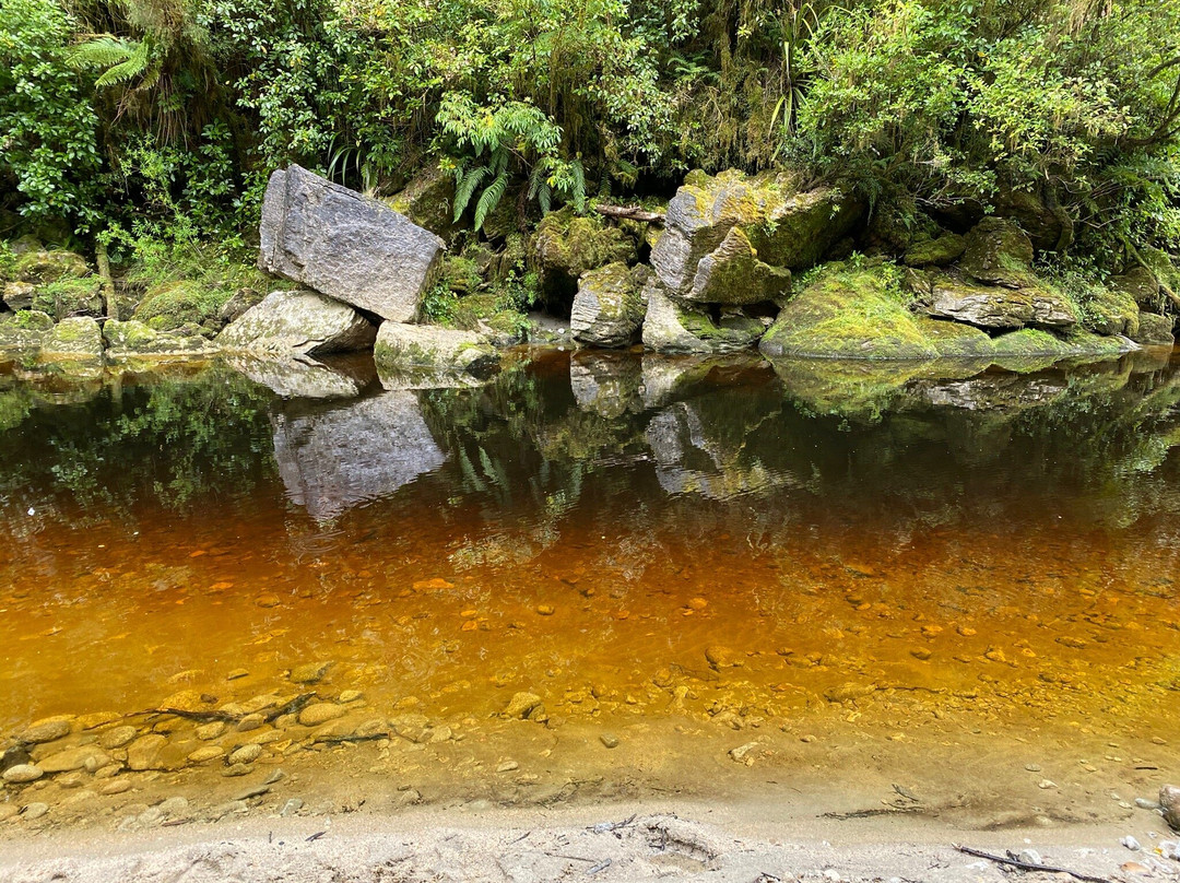 Oparara Basin Walking Tracks景点图片