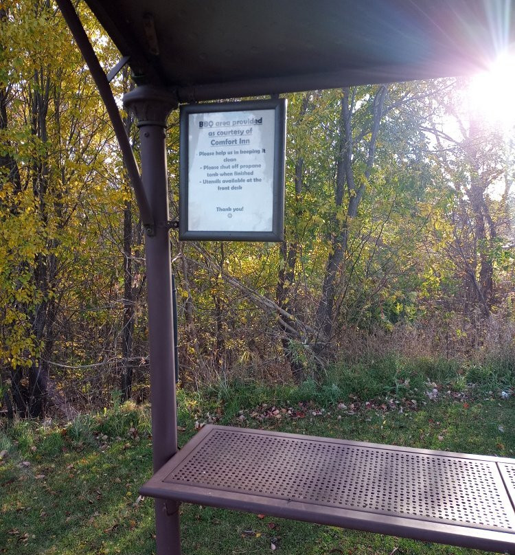 Comfort Inn Pembroke主图