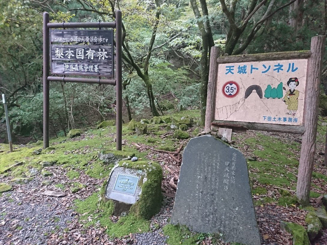 Mt. Amagi Tunnel (Former Amagi Tunnel)景点图片