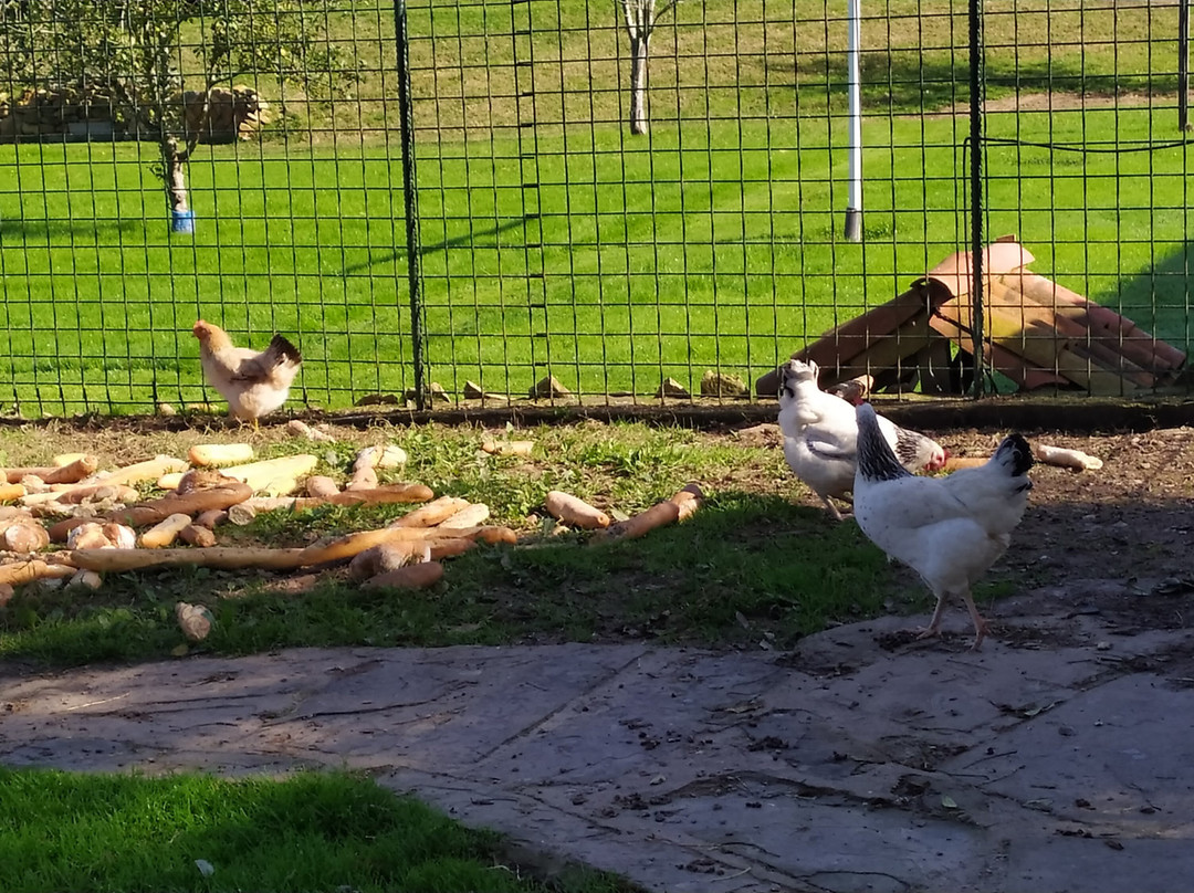 Casa Rural Jesuskoa Eventos主图