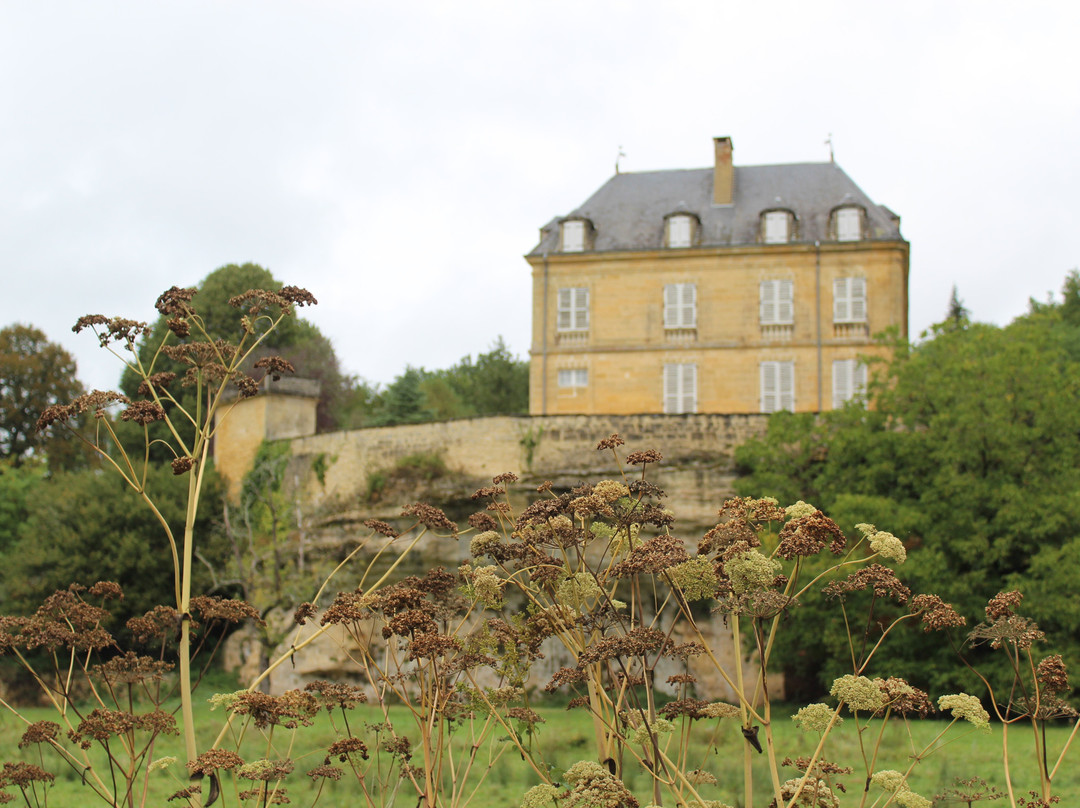 Chateau du Roc景点图片