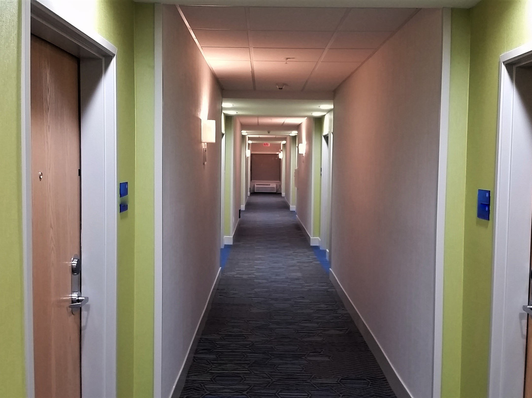 索科罗智选假日酒店主图