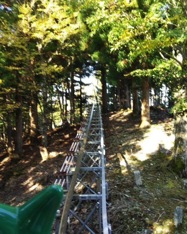 Okuiya Sightseeing Tour Monorail景点图片
