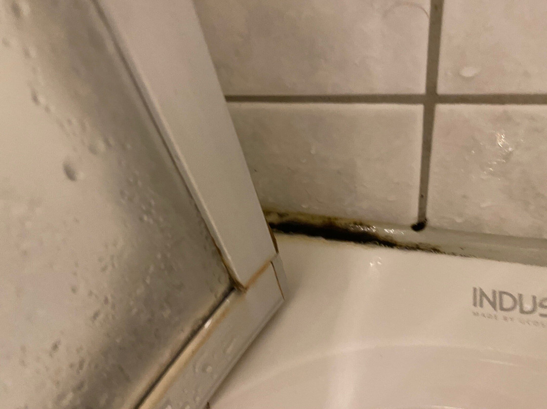 Alter Speicher Hotel & Restaurant主图