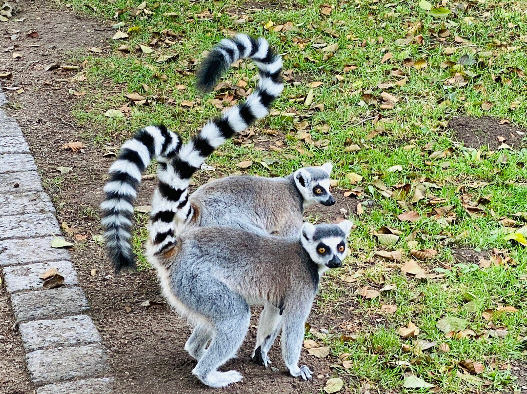 Tierpark Wismar景点图片