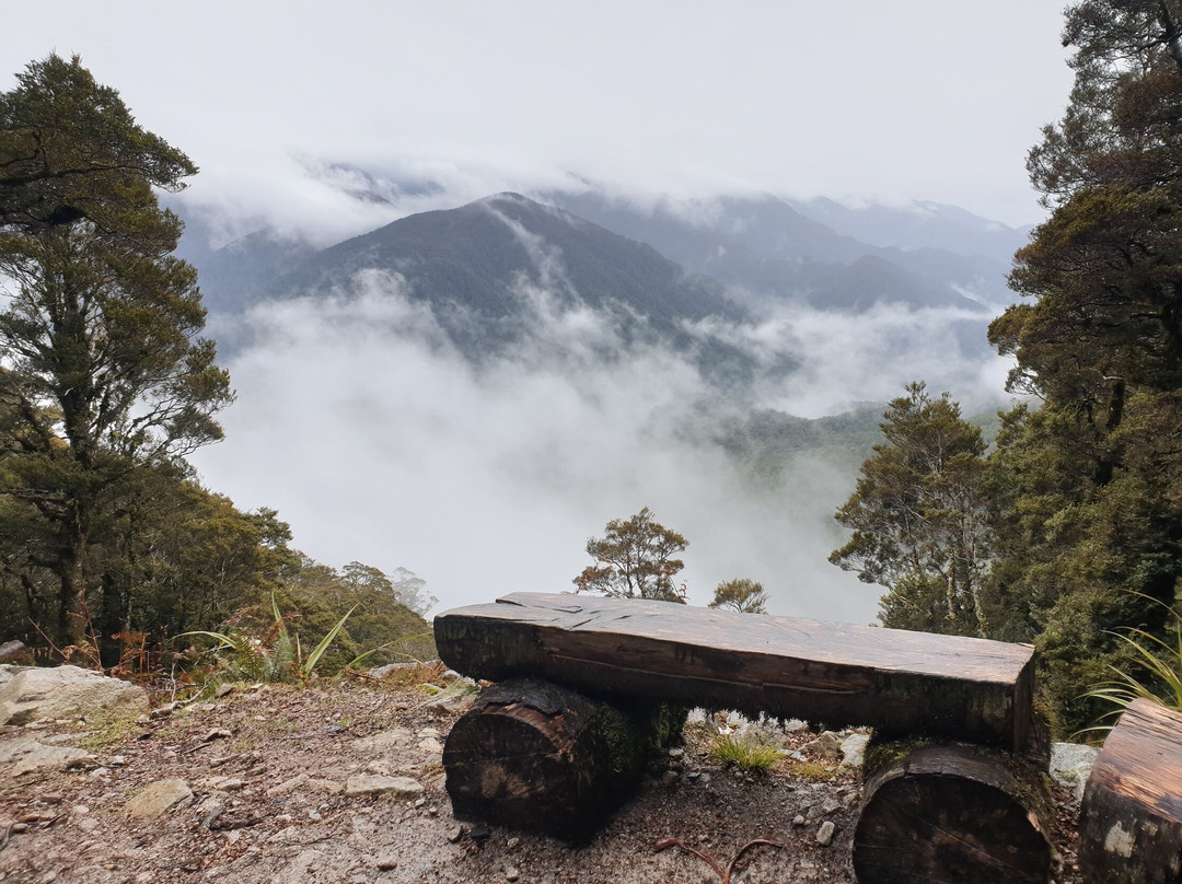 Kahurangi Guided Walks景点图片
