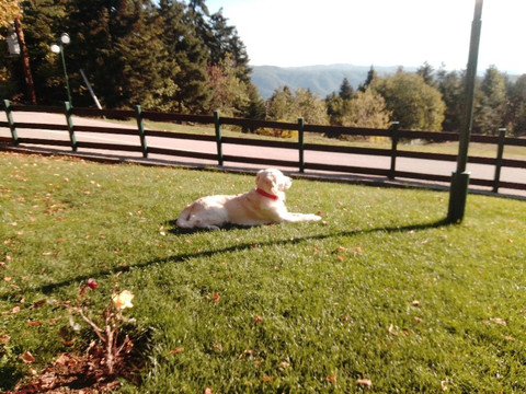 Drasiko Chorio Livadaki主图