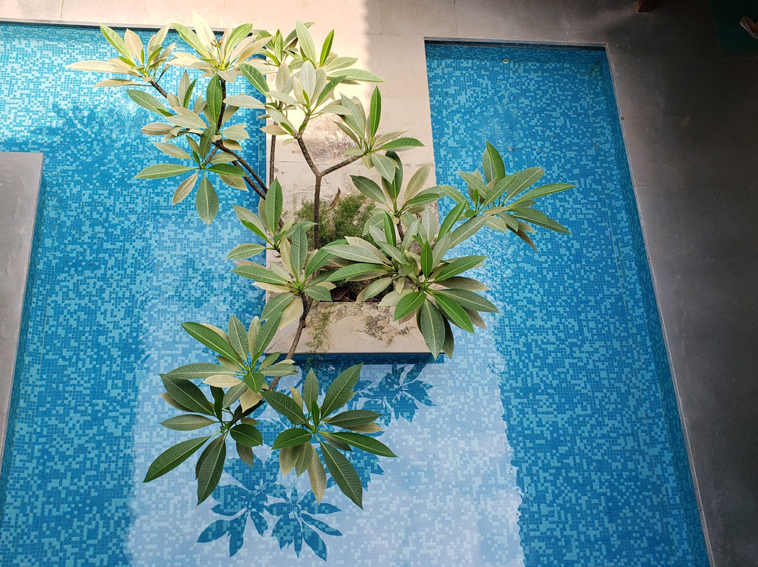 Tropicana Resort & Spa Alibaug主图