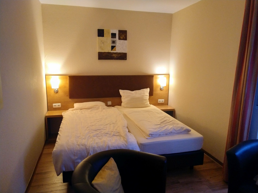 Hotel Zum Schwan主图