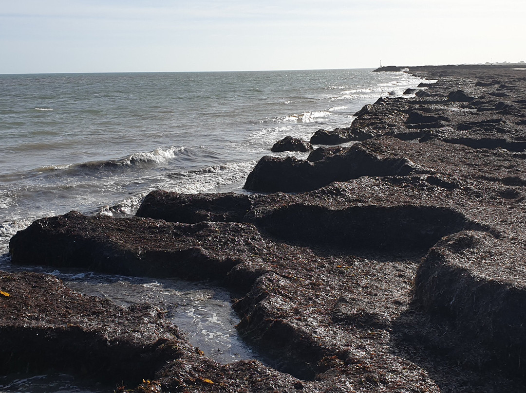 Kingston Jetty-金斯顿镇必去景点