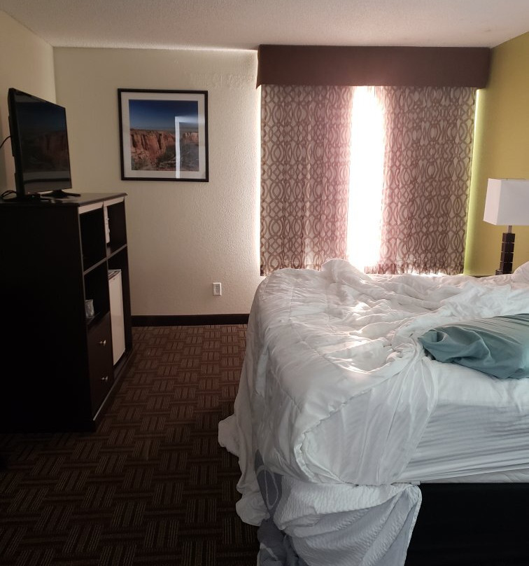 La Quinta Inn & Suites by Wyndham Fruita主图