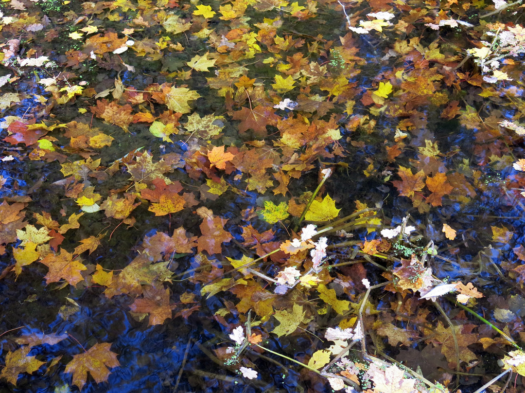 Beach on Shhelokovskiy Khutor-下诺夫哥罗德必去景点