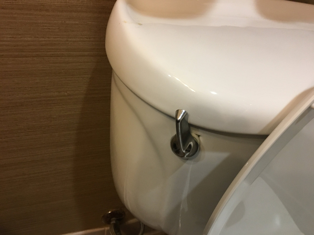 Best Western Plus Delta Inn & Suites主图