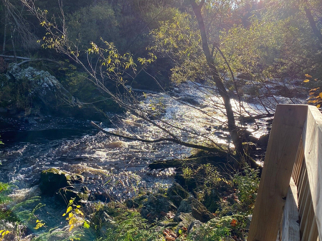 Interstate Falls-Ironwood必去景点