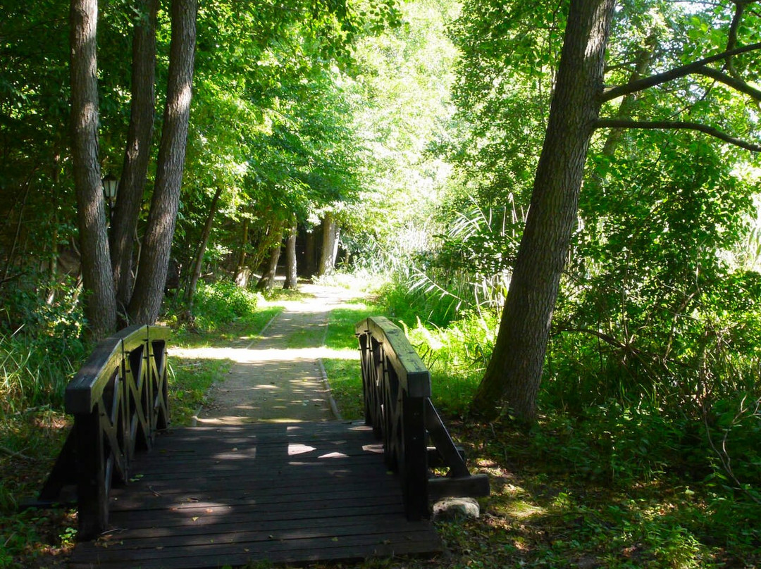 Jagdschloss Waldsee主图