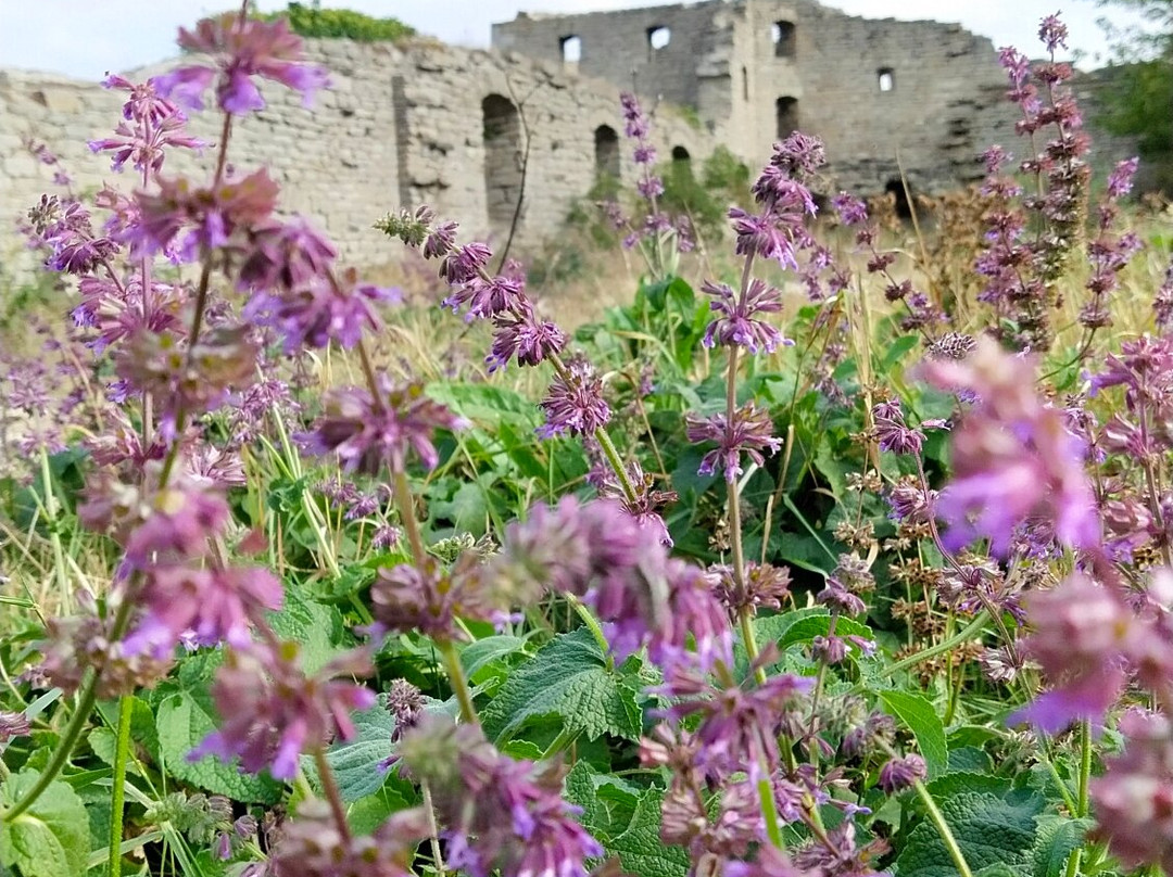 Satanov Castle-Satanov必去景点