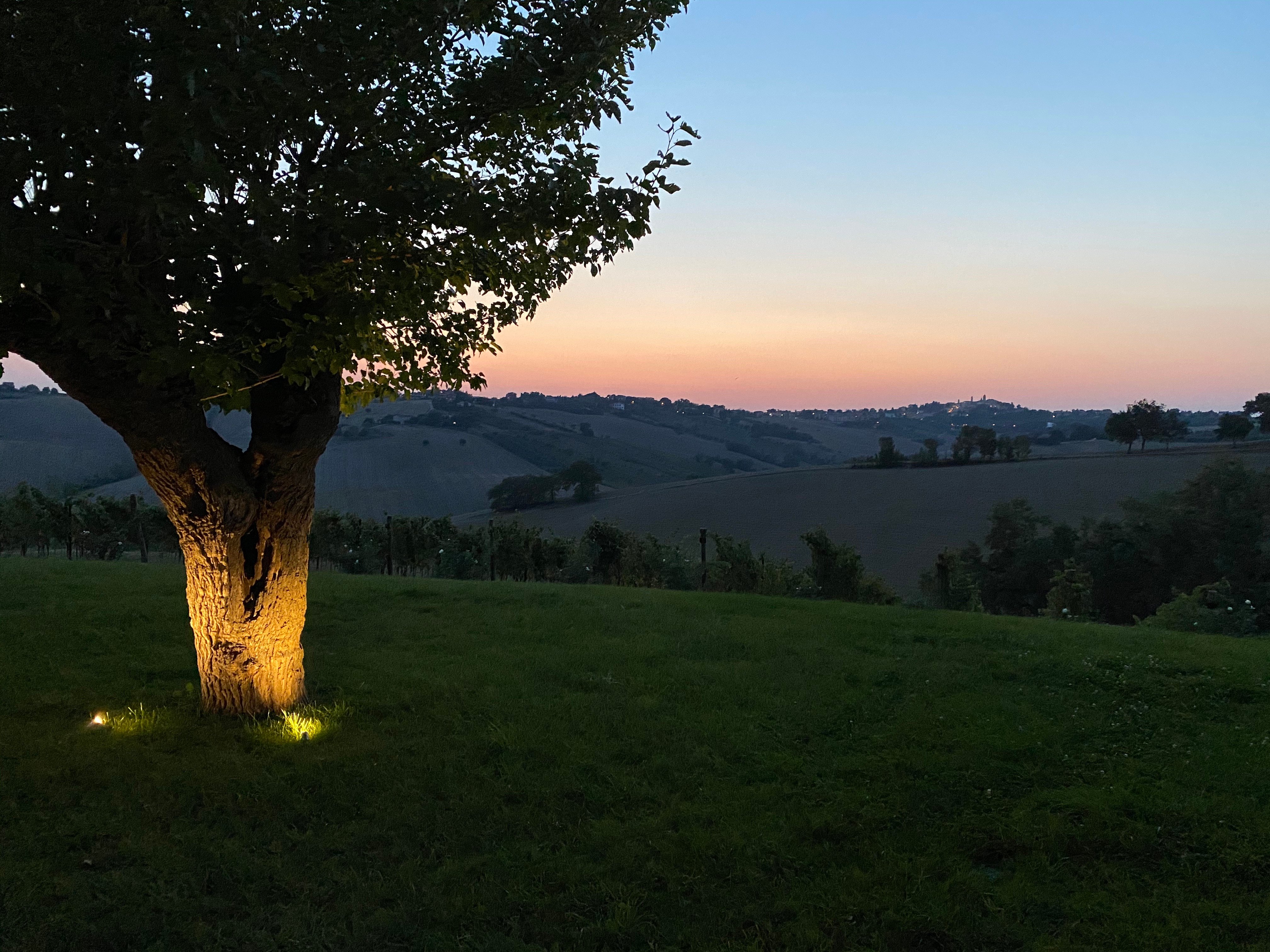 Filodivino Wine Resort & SPA-酒店景观