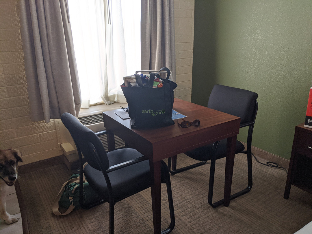 Studio 6 Suites Willcox主图