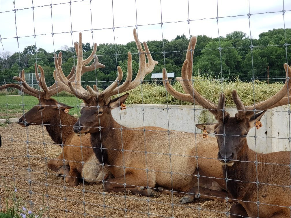 Quiet Harmony Ranch-New Paris必去景点