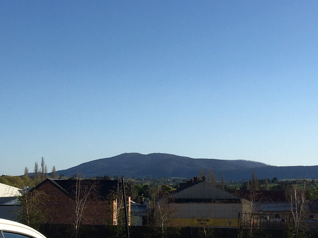 Bega Village Motor Inn主图