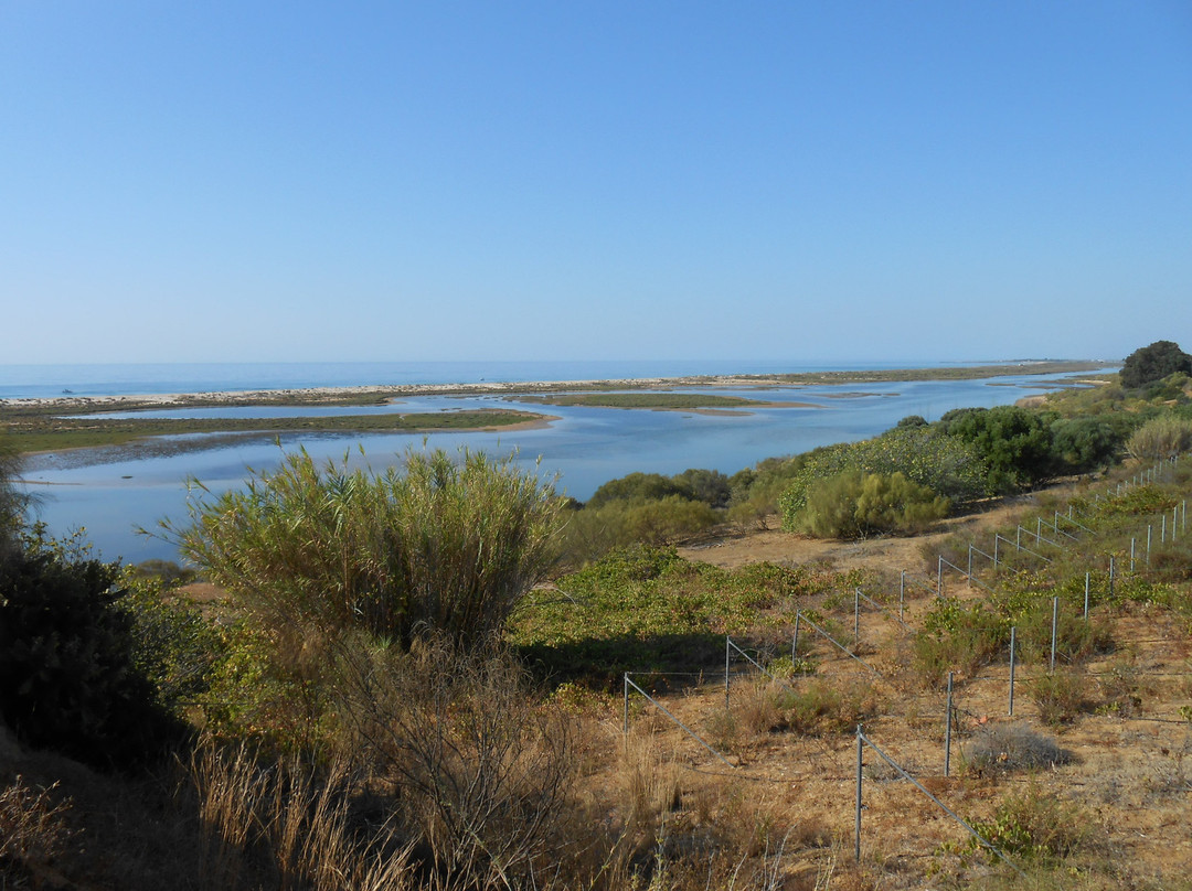 Robinson Quinta Da Ria主图