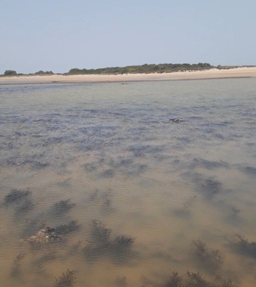 Buena Beach-Sao Francisco De Itabapoana必去景点