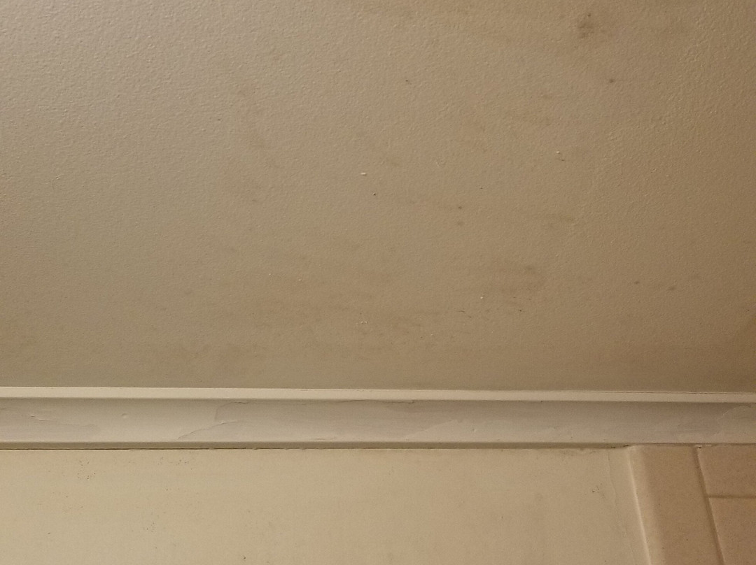 M22 Inn Empire主图