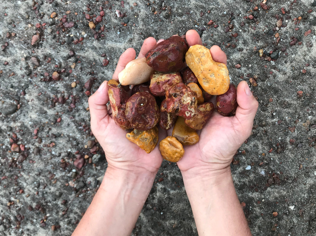 Sylvan Greens Resort主图