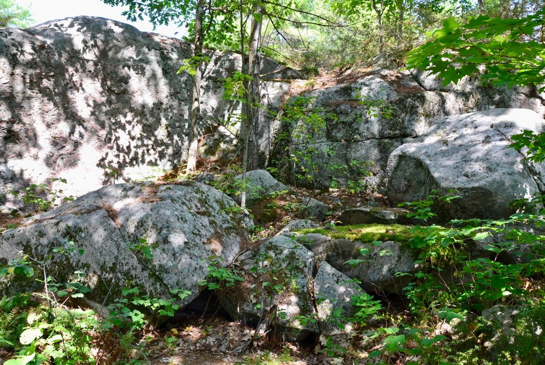 McCrae Lake Conservation Trail-Muskoka District必去景点