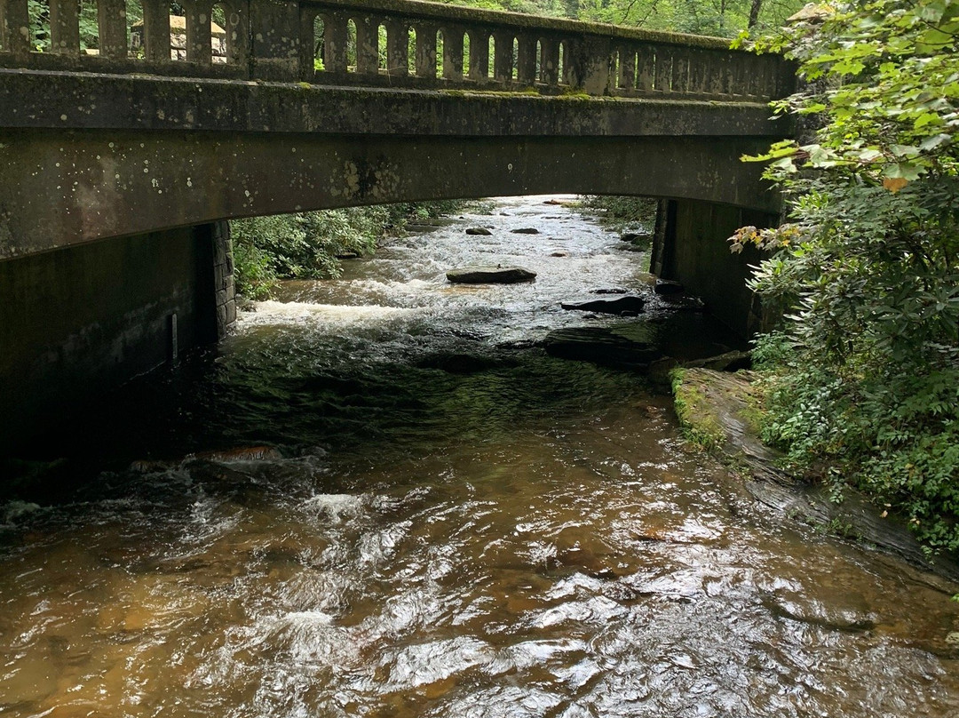 Moore Cove Falls-Pisgah Forest必去景点