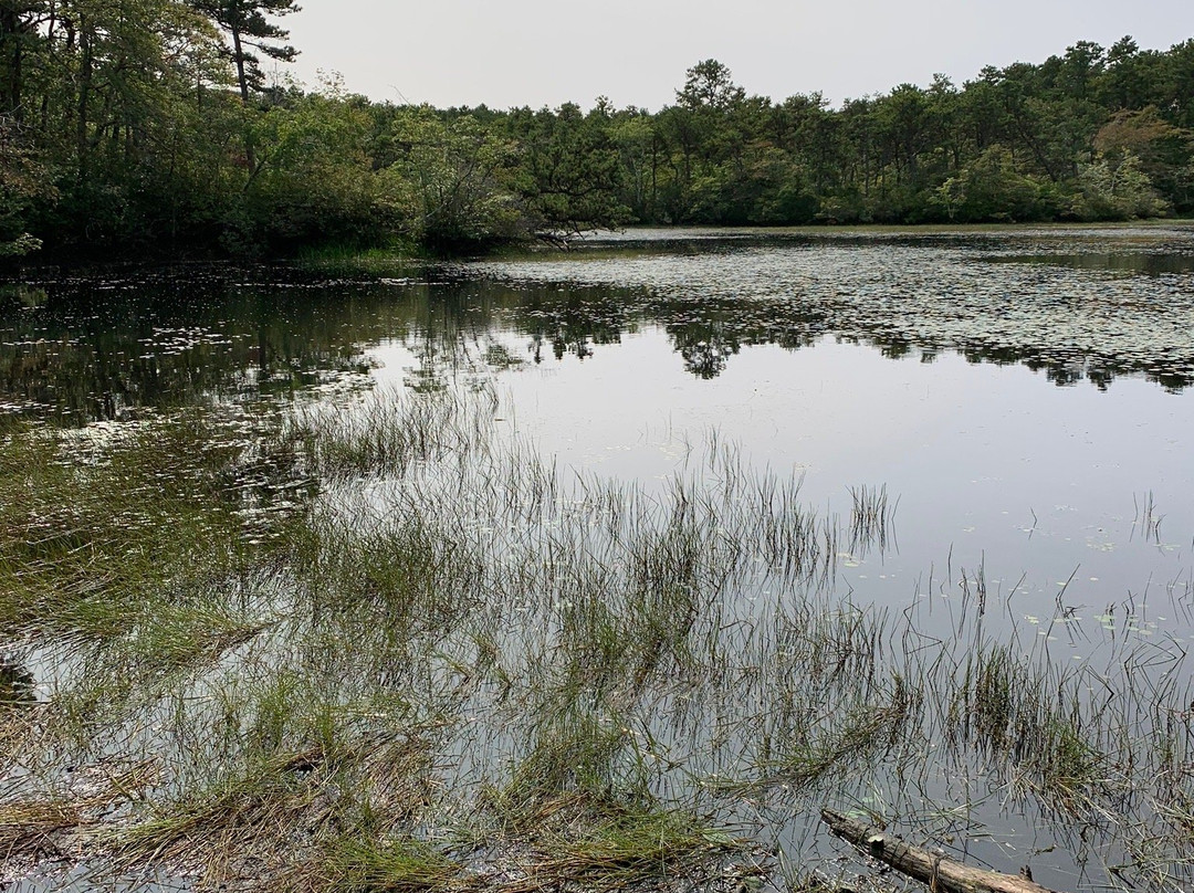 Province Lands Bike Trail景点图片