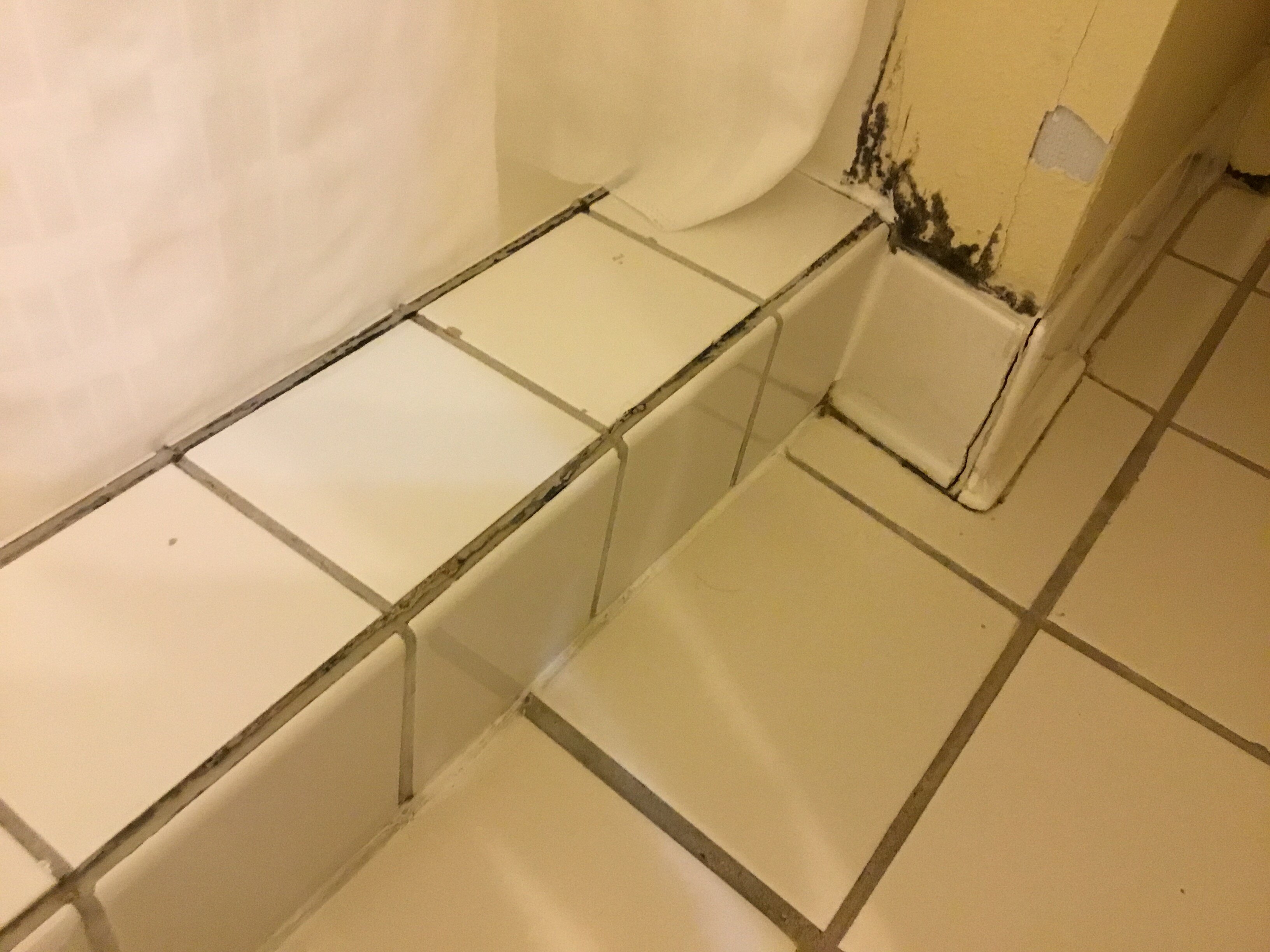 Country Inn & Suites by Radisson, Omaha Airport, IA-浴室