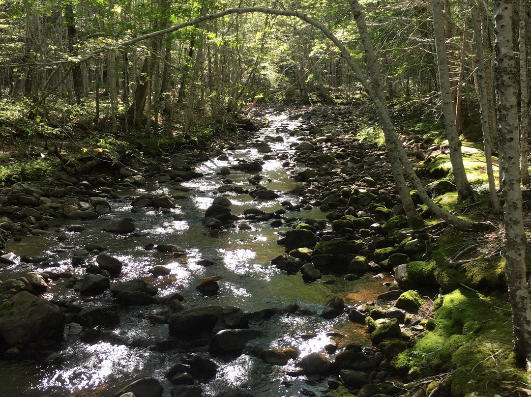 MacIntosh Brook Trail-Pleasant Bay必去景点
