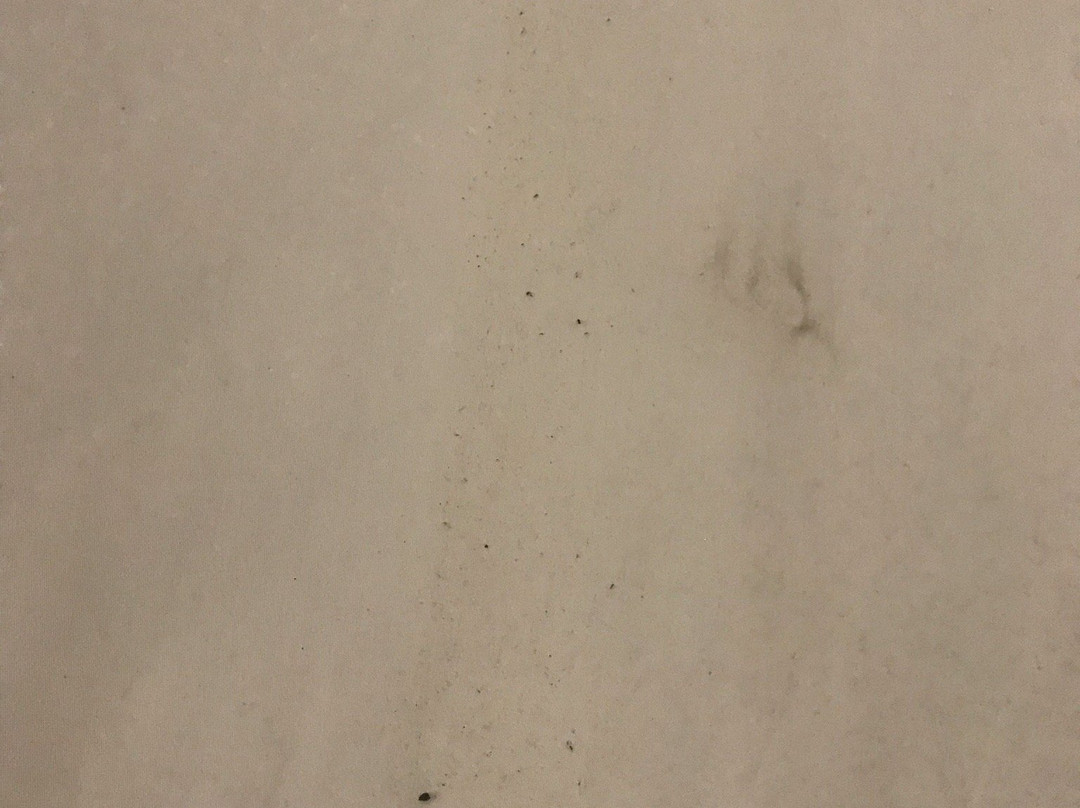 Bramston Beach Resort主图