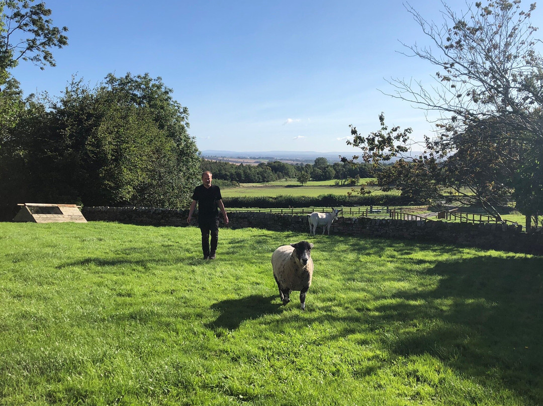 Low Gingerfield Farm B&B主图