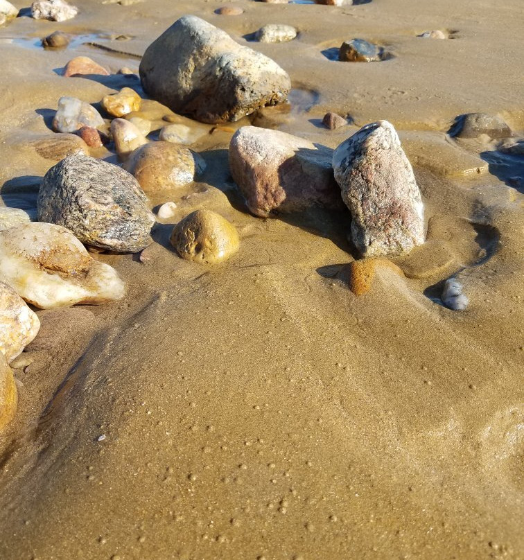 Plage de la Terrière景点图片