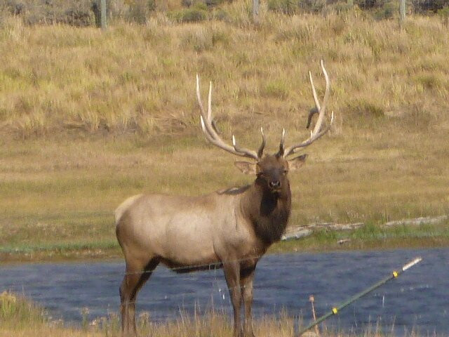 Bear River State Park-埃文斯顿必去景点