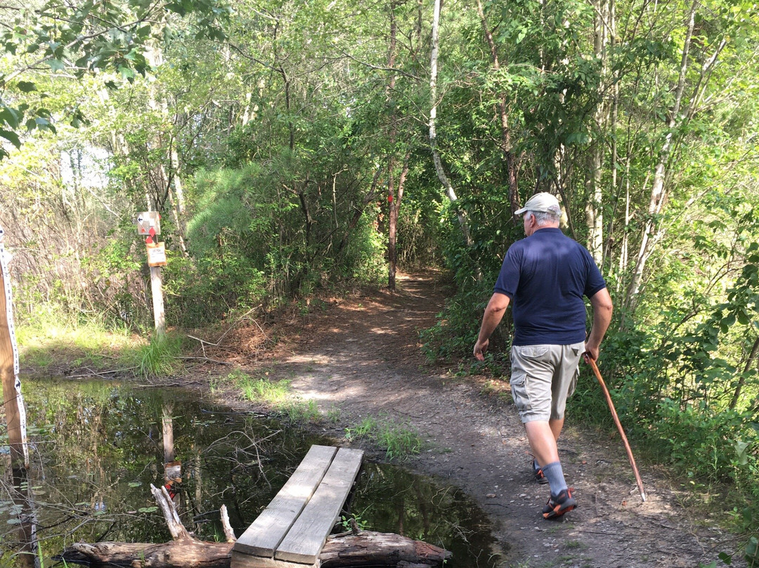 Black Run Preserve-Evesham必去景点