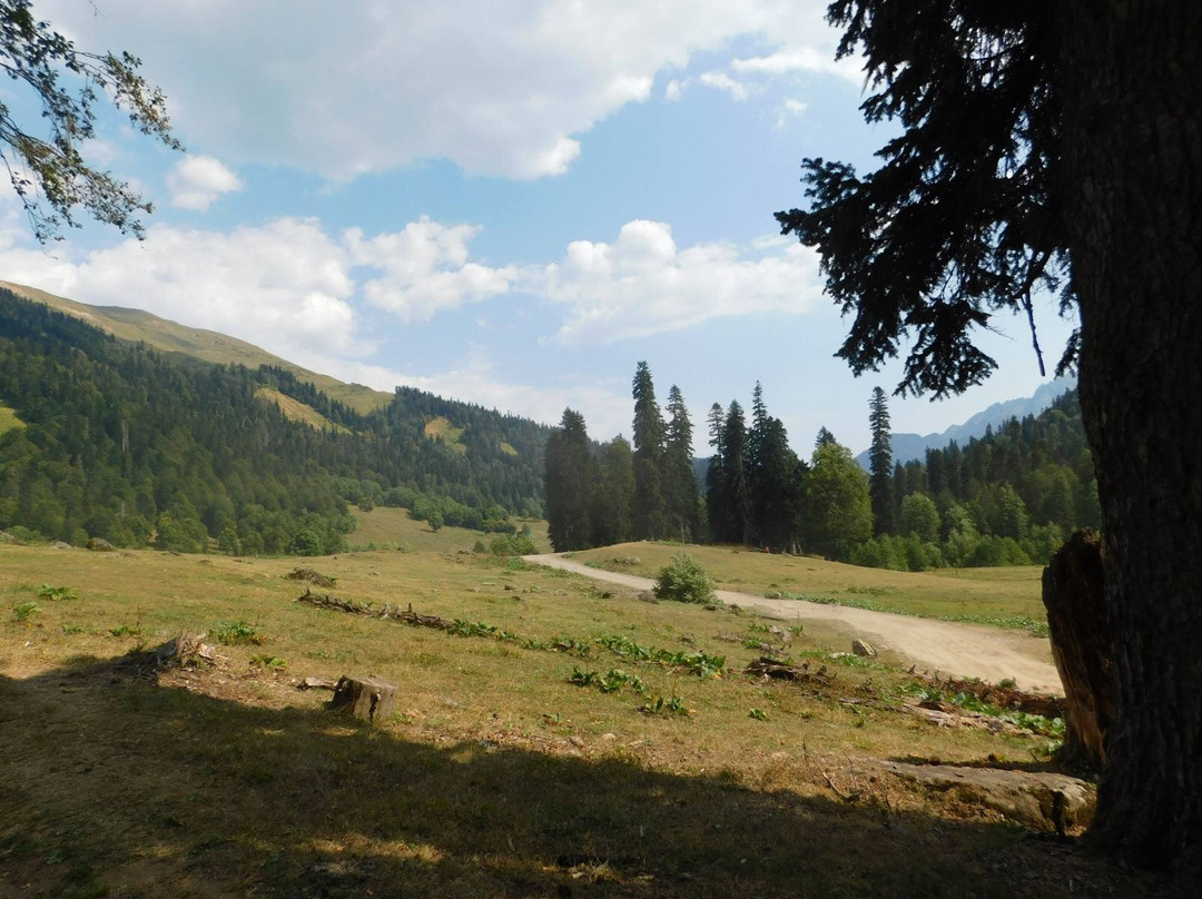 Alpine Meadows of Abkhazia景点图片