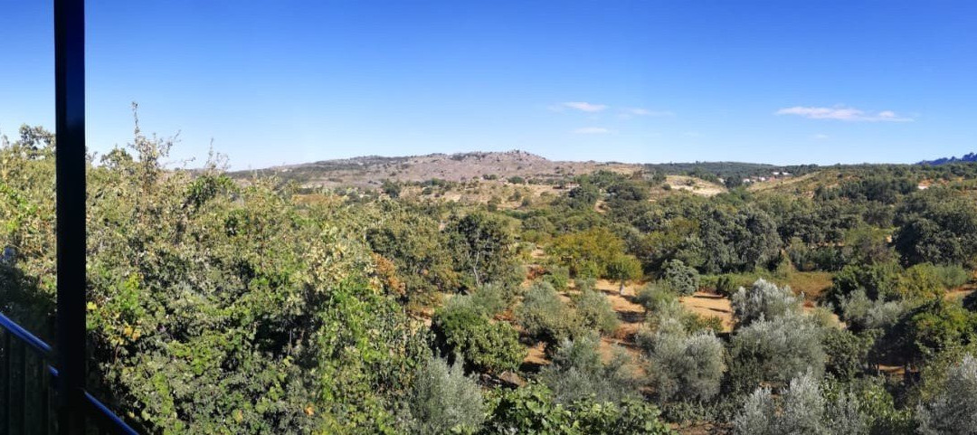 Casa Rural La Jiguera主图