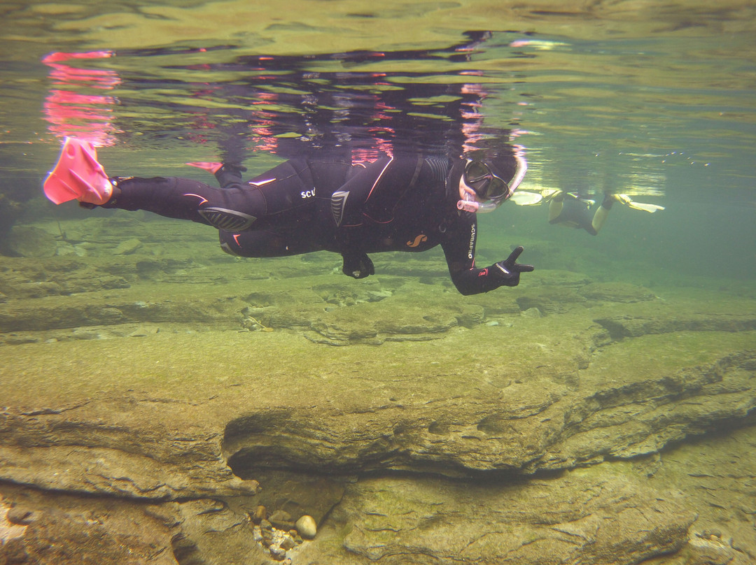 Magic Dive - Flusstauchen am Traunfall-Roitham必去景点