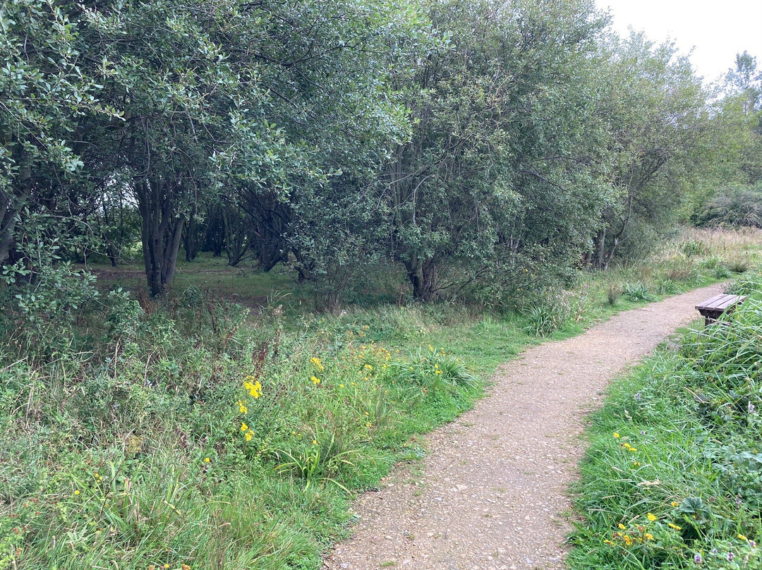 Monkton Fell-Hebburn必去景点