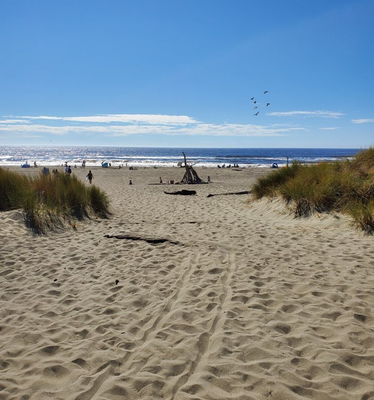Sonoma Coast State Beach - Salmon Creek景点图片