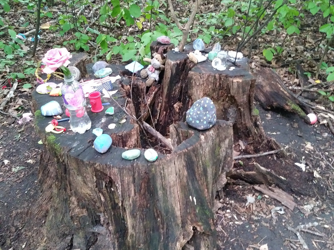 Maple Creek Park-Plymouth必去景点