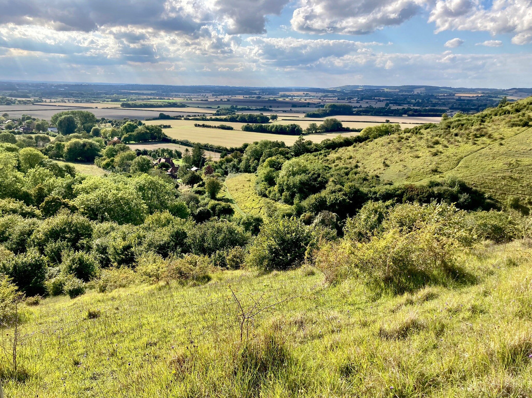 Wye National Nature Reserve景点图片