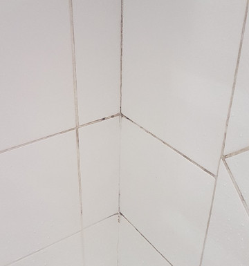 科尔伯特酒店主图