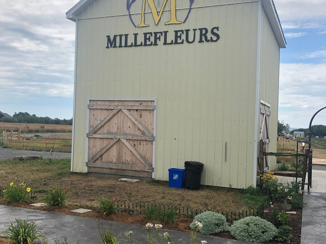 Millefleurs景点图片