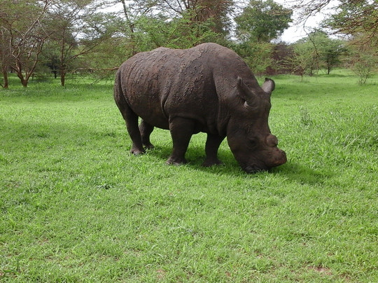 SENEGAL ODYSSEY TOURS-达喀尔必去景点